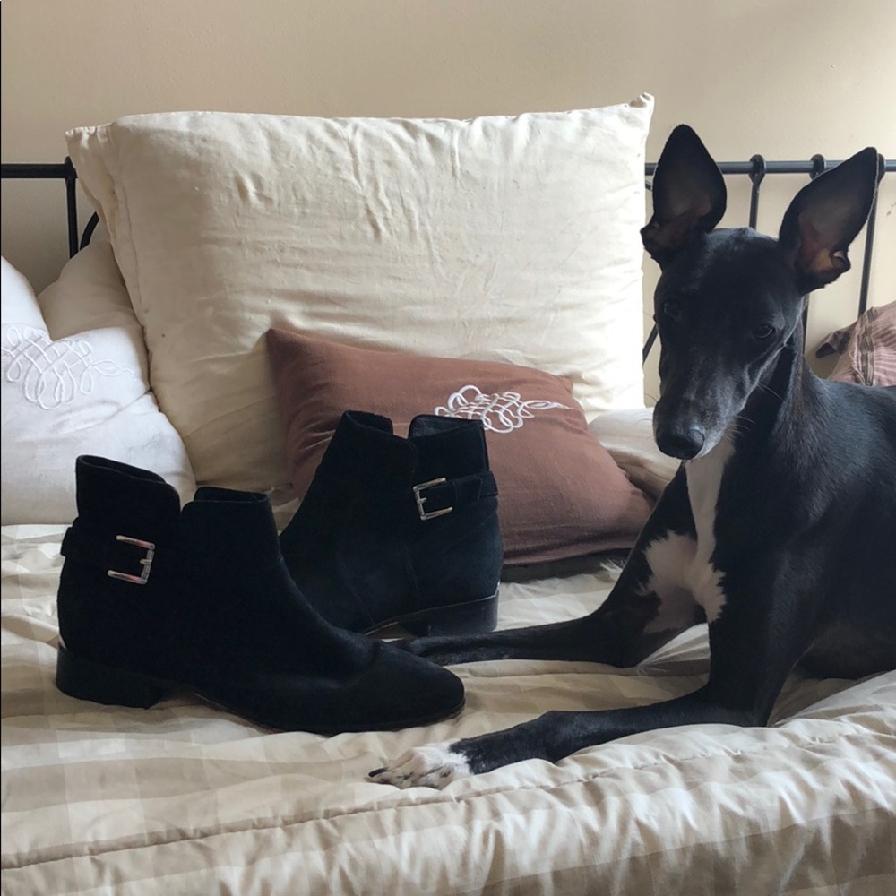 Michael Kors black suede booties (hidden wedge)